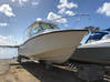 Photo for the classified Boston Whaler 285 Conquest Saint Martin #1