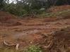 Foto do anúncio Terrains Constructibles Cayenne Guiana Francesa #4