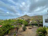 Photo for the classified detached villa with wooded park Almond Grove Estate Sint Maarten #5