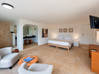 Photo de l'annonce Villa de luxe de 5 chambres + maison d’hôtes de 2 chambres Saint-Martin #37