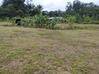 Photo de l'annonce Terrain Agricole 1252m2 24 900Eur Fai ... Roura Guyane #9