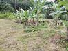 Photo de l'annonce Terrain Agricole 1252m2 24 900Eur Fai ... Roura Guyane #11