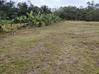 Photo de l'annonce Terrain Agricole 1252m2 24 900Eur Fai ... Roura Guyane #13
