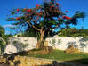 Photo for the classified Dawn Beach Villa Sint Maarten #6