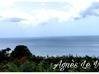 Photo de l'annonce Terrain boisé vue mer de 3 247 m2 sur... Deshaies Guadeloupe #12