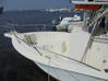 Photo de l'annonce VEDETTE SEA FOX 257- 7,80 m Saint-Martin #3