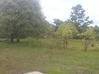 Photo de l'annonce Macouria propriete P4 - terrain 23 482m² Macouria Guyane #7
