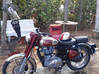 Photo for the classified Royal Enfield Motorcycle Saint Martin #0