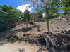Lijst met foto Residentieel gemalen amandel Grove Almond Grove Estate Sint Maarten #15