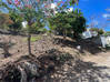 Photo de l'annonce Almond Grove, 1116M2 Plot of Land, St. Maarten SXM Almond Grove Estate Sint Maarten #16
