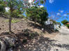 Photo de l'annonce Almond Grove, 1116M2 Plot of Land, St. Maarten SXM Almond Grove Estate Sint Maarten #17