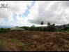 Photo de l'annonce Terrain Constructible Basse Pointe Basse-Pointe Martinique #0