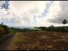 Photo de l'annonce Terrain Constructible Basse Pointe Basse-Pointe Martinique #2