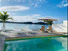 Vidéo de l'annonce Superbe villa en bord de lagon Pointe Pirouette Sint Maarten #17