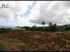 Photo de l'annonce Terrain Constructible Basse Pointe Basse-Pointe Martinique #1