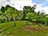 Photo de l'annonce Villa P6 de 143 m² Trois Rivieres... Trois-Rivières Guadeloupe #1
