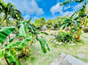 Lijst met foto TYPE 2 COTE D AZUR + WERKPLAATS Cupecoy Sint Maarten #10