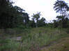 Foto do anúncio Terrain agricole à Iracoubo Iracoubo Guiana Francesa #2