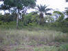 Photo de l'annonce Terrain agricole à Iracoubo Iracoubo Guyane #3