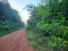 Photo de l'annonce Terrain agricole à 7.70Eur / m2 Montsinéry-Tonnegrande Guyane #3