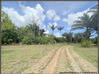 Photo de l'annonce A Montsinery Tonnegrande (97356 Guyane Française) Une Montsinéry-Tonnegrande Guyane #10