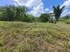 Photo de l'annonce Montsinery Tonnegrande terrain - Terrain de 10 040,00 m² Montsinéry-Tonnegrande Guyane #1
