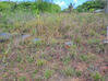 Photo de l'annonce Montsinery Tonnegrande terrain - Terrain de 10 040,00 m² Montsinéry-Tonnegrande Guyane #12