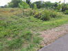Photo de l'annonce Montsinery Tonnegrande terrain - Terrain de 10 040,00 m² Montsinéry-Tonnegrande Guyane #13