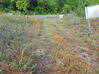Photo de l'annonce Montsinery Tonnegrande terrain - Terrain de 10 040,00 m² Montsinéry-Tonnegrande Guyane #16