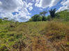 Photo de l'annonce Montsinery Tonnegrande terrain - Terrain de 10 040,00 m² Montsinéry-Tonnegrande Guyane #17