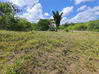 Photo de l'annonce Montsinery Tonnegrande terrain - Terrain de 10 040,00 m² Montsinéry-Tonnegrande Guyane #27