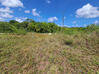 Photo de l'annonce Montsinery Tonnegrande terrain - Terrain de 10 040,00 m² Montsinéry-Tonnegrande Guyane #28