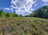 Photo de l'annonce Montsinery Tonnegrande terrain - Terrain de 10 040,00 m² Montsinéry-Tonnegrande Guyane #29