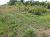 Photo de l'annonce Montsinery Tonnegrande terrain - Terrain de 10 040,00 m² Montsinéry-Tonnegrande Guyane #30