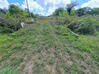 Photo de l'annonce Montsinery Tonnegrande terrain - Terrain de 10 040,00 m² Montsinéry-Tonnegrande Guyane #31