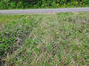 Photo de l'annonce Montsinery Tonnegrande terrain - Terrain de 10 040,00 m² Montsinéry-Tonnegrande Guyane #32
