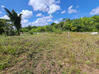 Photo de l'annonce Montsinery Tonnegrande terrain - Terrain de 10 040,00 m² Montsinéry-Tonnegrande Guyane #33
