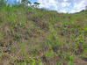 Photo de l'annonce Montsinery Tonnegrande terrain - Terrain de 10 040,00 m² Montsinéry-Tonnegrande Guyane #34