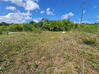 Photo de l'annonce Montsinery Tonnegrande terrain - Terrain de 10 040,00 m² Montsinéry-Tonnegrande Guyane #35