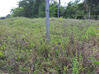 Photo de l'annonce Montsinery Tonnegrande terrain - Terrain de 10 040,00 m² Montsinéry-Tonnegrande Guyane #36