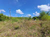 Photo de l'annonce Montsinery Tonnegrande terrain - Terrain de 10 040,00 m² Montsinéry-Tonnegrande Guyane #43