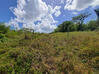 Photo de l'annonce Montsinery Tonnegrande terrain - Terrain de 10 040,00 m² Montsinéry-Tonnegrande Guyane #44