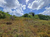 Photo de l'annonce Montsinery Tonnegrande terrain - Terrain de 10 040,00 m² Montsinéry-Tonnegrande Guyane #45