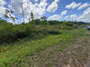 Photo de l'annonce Montsinery Tonnegrande terrain - Terrain de 10 040,00 m² Montsinéry-Tonnegrande Guyane #46
