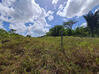 Photo de l'annonce Montsinery Tonnegrande terrain - Terrain de 10 040,00 m² Montsinéry-Tonnegrande Guyane #47