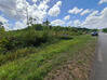 Photo de l'annonce Montsinery Tonnegrande terrain - Terrain de 10 040,00 m² Montsinéry-Tonnegrande Guyane #49