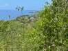 Photo de l'annonce Terrain constructible vue mer 4764 m2 Bouillante Guadeloupe #3