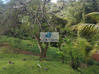 Photo de l'annonce Villa pour colocation, proche CHU Saint-Joseph Martinique #9