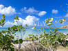 Photo for the classified Friar's Bay - Sea view and pond -... Saint Martin #2