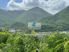 Photo for the classified SAINT MARTIN FOR SALE SEA VIEW LAND FROM 264000 EUROS Saint Martin #8